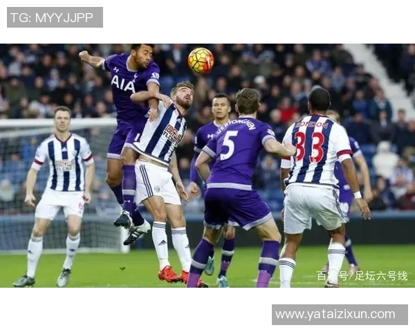 维特斯与海牙对决前瞻分析及比赛结果预测