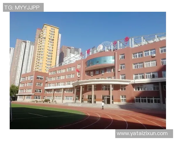 孙贺男的奋斗历程与人生哲学探讨：从平凡到卓越的成长之路