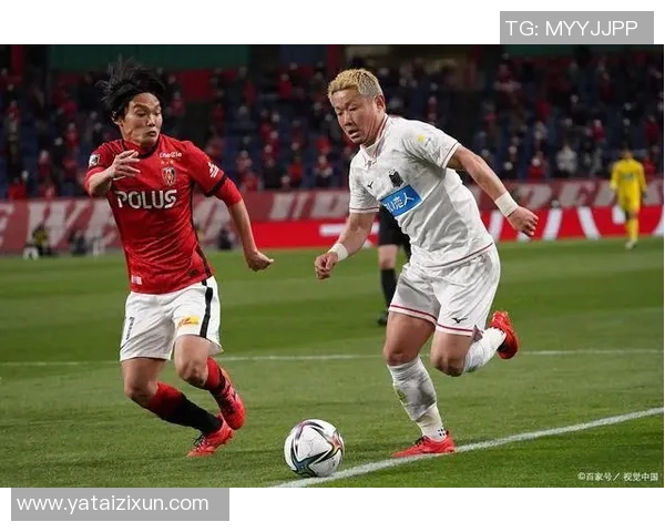 扎幌对阵鸟栖精彩直播全程回顾与赛后分析